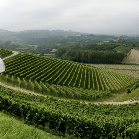 Ceretto Winery & The Barolo Brothers