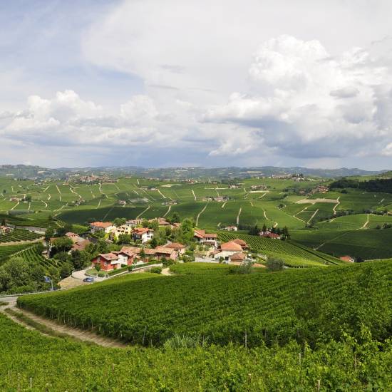 Alta Langa