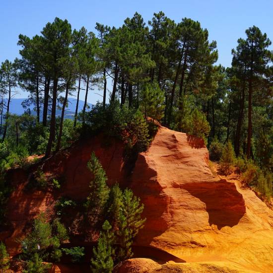 Luberon Village Tour
