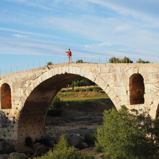 Highlights Of Provence - Chateauneuf du Pape & Luberon