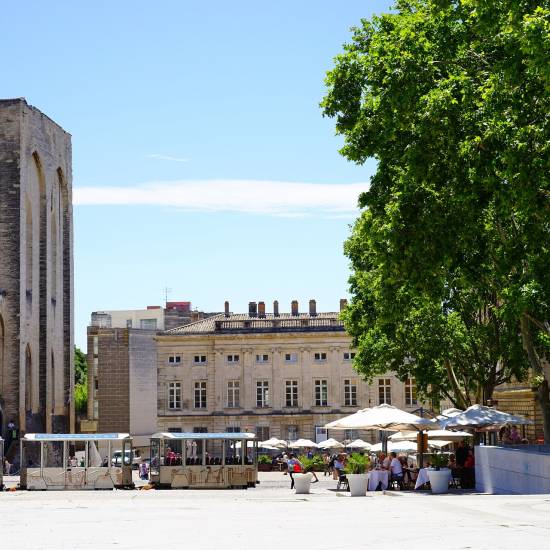 Avignon & Chateauneuf du Pape Wine Tour - Shore Excursion