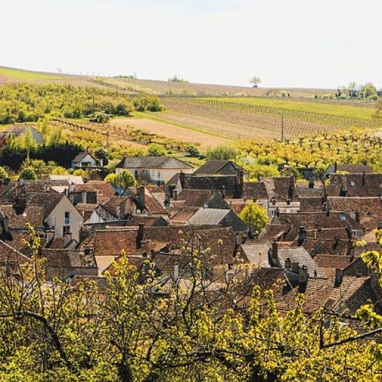 Burgundy Grands Crus Wine Tour From Beaune  - Private