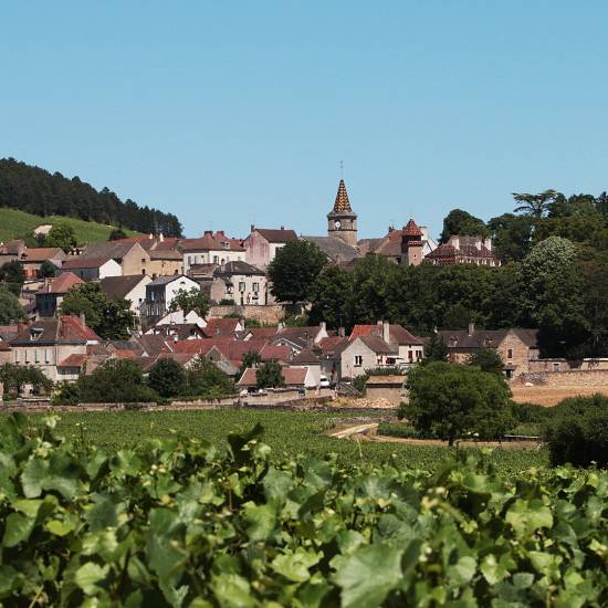 Côte De Nuits Half Day Wine Tour - Private