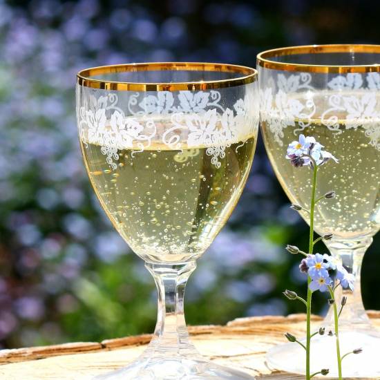 Côte De Nuits &  Côte De Beaune Wine Tour  - Private