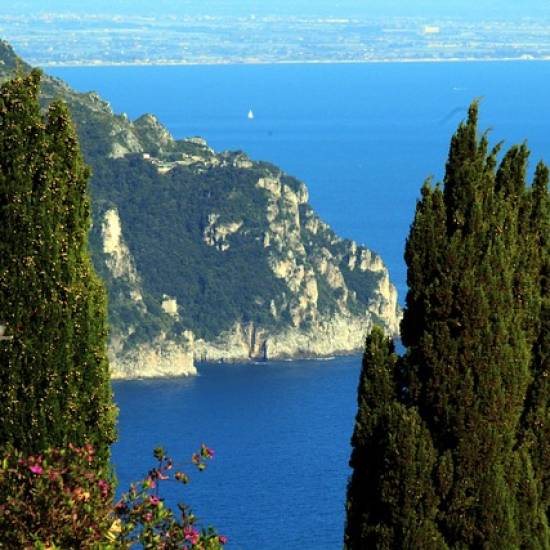 Amalfi Coast: Ravello, Goat's Cheese and Olive Oil