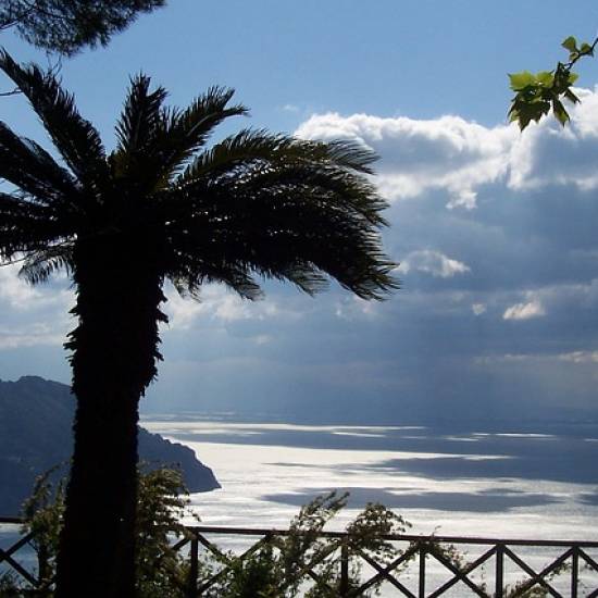 Amalfi Coast: Ravello, Goat's Cheese and Olive Oil