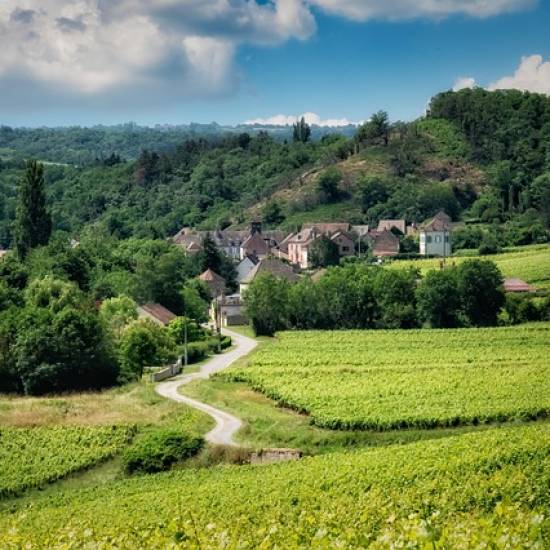 A Morning In Medoc Region