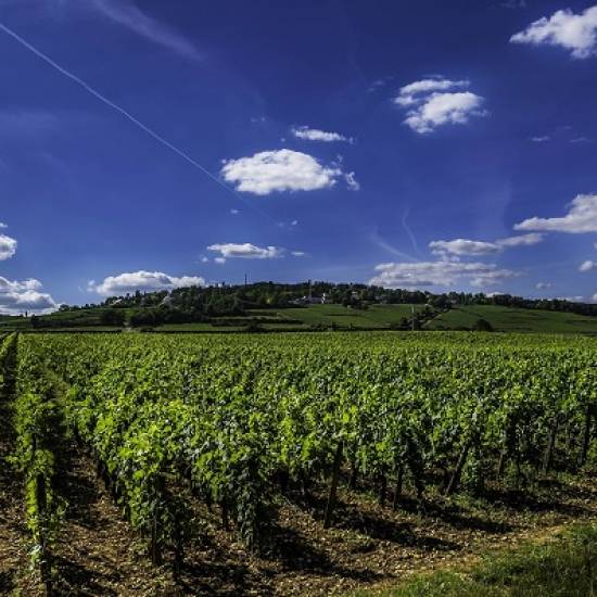 Beaune Tour