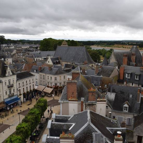 Chateau d’ Amboise And Clos-Lucé