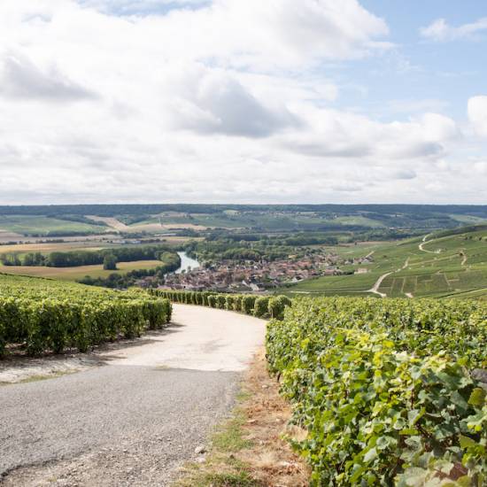 Epernay & Family Growers