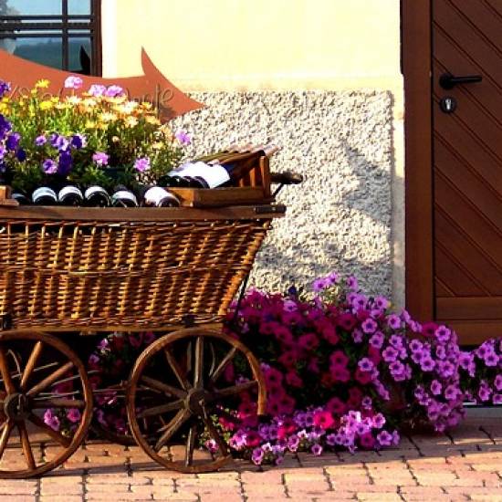 Morning Alsace Wine Tour