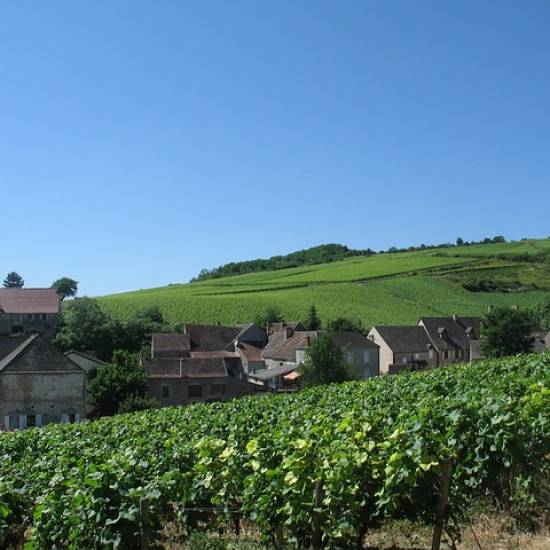 Discover Burgundy