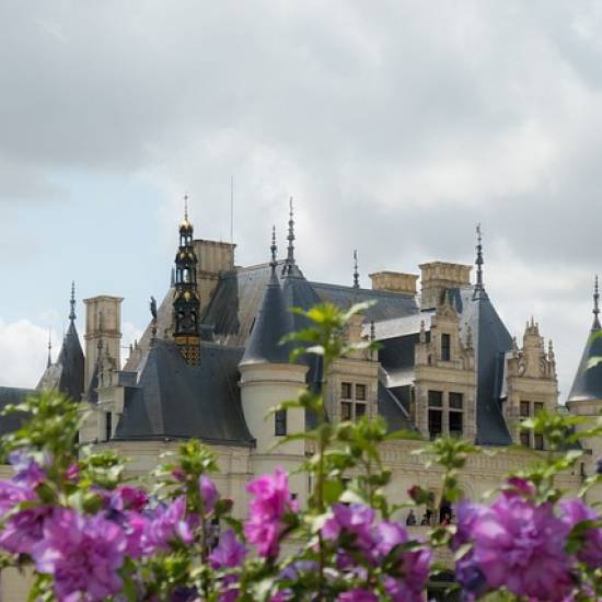 Chambord And Chenonceau Tour With Lunch