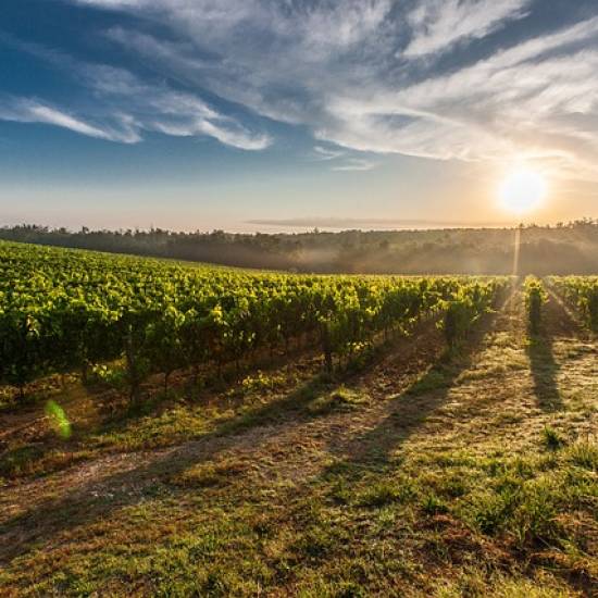 3 Wine Appellations In A Day