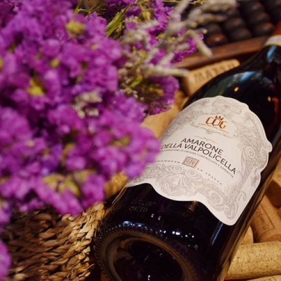 Amarone Wine E-Bike Tour