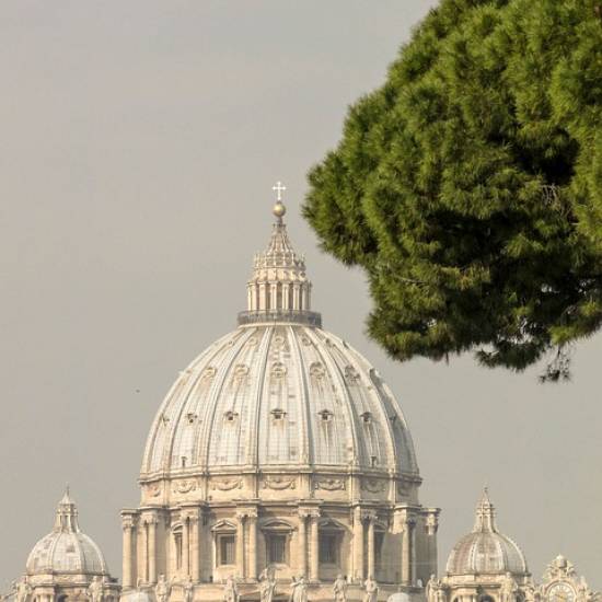 A day In Rome: Coliseum & Vatican with lunch