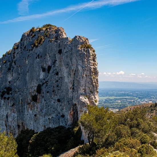 Arles, Les Baux & Saint-Rémy de Provence Tour