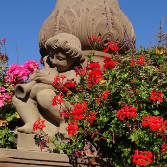 Medieval Charm & Mountain Views: Private Tour to Obernai & Mont Saint Odile