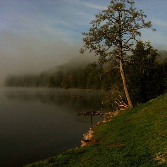 Black Forest & Freiburg Discovery