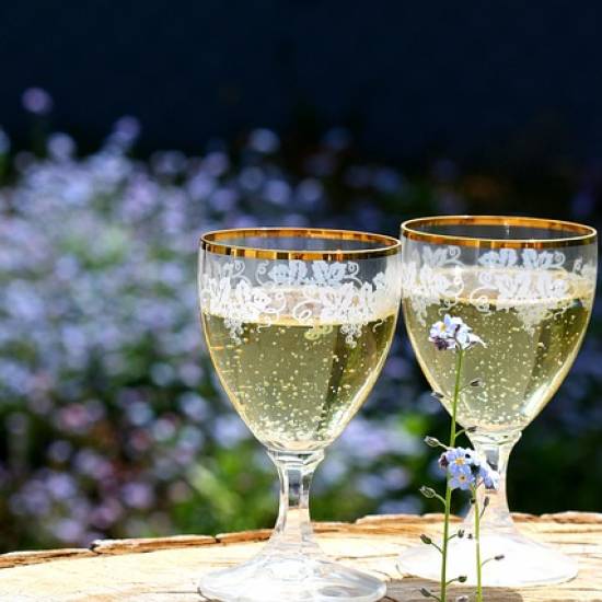 Champagne: Major House and Local Producer Tour