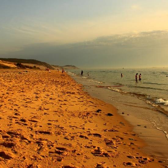Day Trip to Arcachon Bay and the Majestic Dune of Pilat