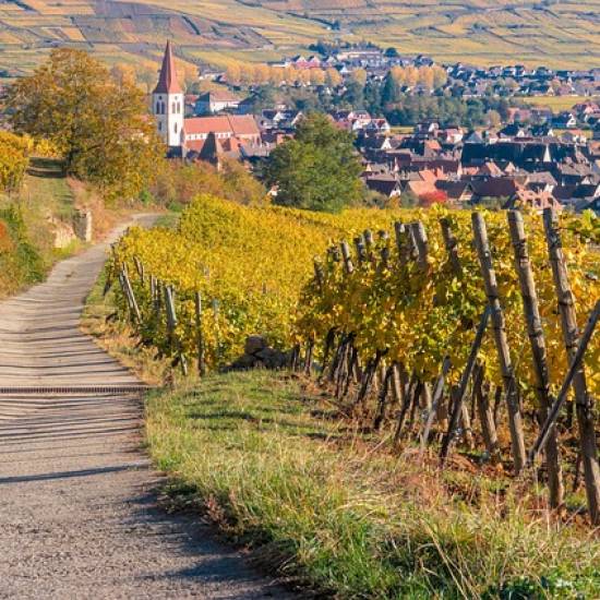 Alsace Villages & Wine Private Tour