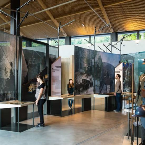 WWI Alsace Museums & Sights Private Tour