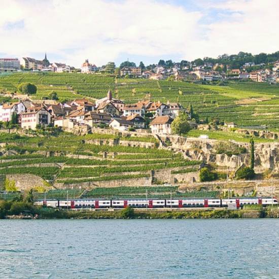 Cheese, Chocolate And Wine Tour