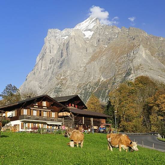 Grindelwald, Interlaken and Lauterbrunnen