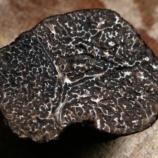 Secrets of the Roero: Private Black Truffle Hunting with Lunch