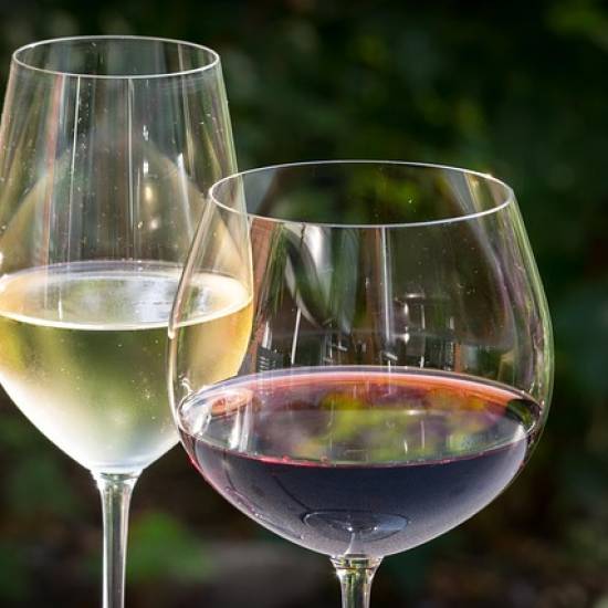 A Day in Tuscany: Nature, Wine & Tradition