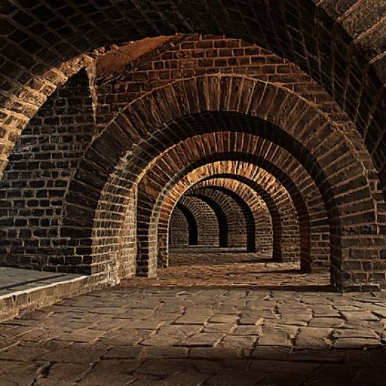 Half Day Premium Chianti Experience: Vineyards, Cellars & Tuscan Flavor