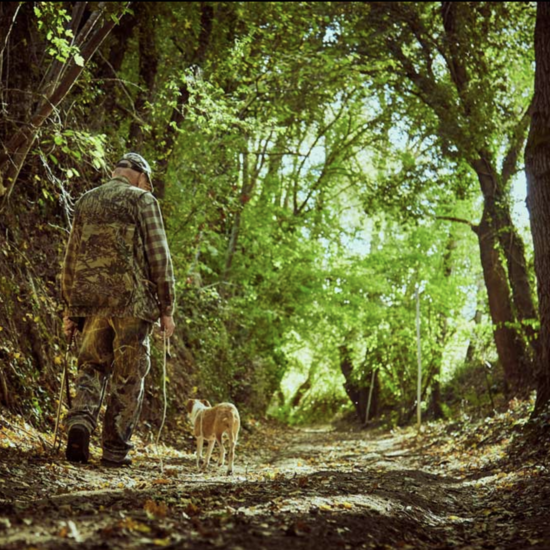 Truffle Hunting With Lunch