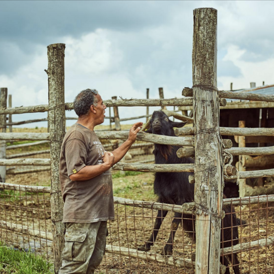 Farm Tour with Cheese Tasting