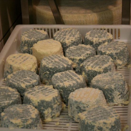 Cheese Making Demonstration