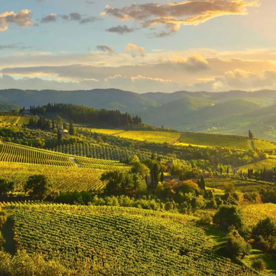 Premium Tour of Chianti Classico: Iconic Estates and the Art of Fine Winemaking