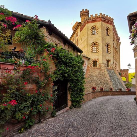 Barolo Land
