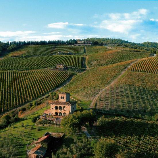A Day in Tuscany: Nature, Wine & Tradition